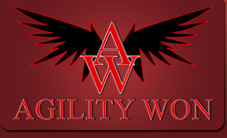Agility Won